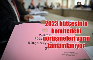 2023 bütçesinin komitedeki görüşmeleri yarın...