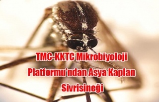 TMC-KKTC Mikrobiyoloji Platformu’ndan Asya Kaplan...