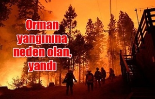 Orman yangınına neden olmanın cezası 100 asgari...