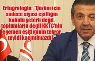 Ertuğruloğlu: "Çözüm için sadece siyasi...