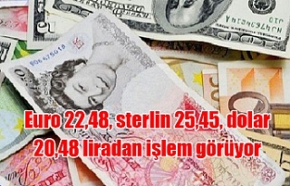 Euro 22,48, sterlin 25,45, dolar 20,48 liradan işlem...