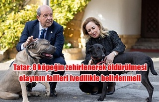Tatar: 8 köpeğin zehirlenerek öldürülmesi olayının...