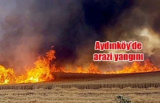 Aydınköy’de arazi yangını