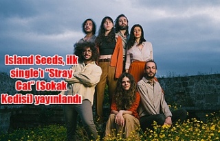 Island Seeds, ilk single'ı “Stray Cat” (Sokak...