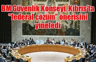 BM Güvenlik Konseyi, Kıbrıs'ta "federal...