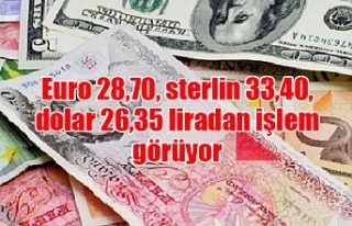 Euro 28,70, sterlin 33,40, dolar 26,35 liradan işlem...