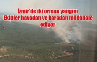 İzmir'de iki orman yangını: Ekipler havadan...