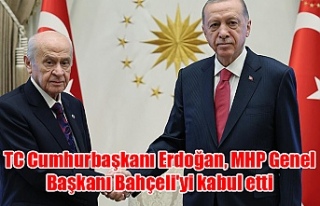 TC Cumhurbaşkanı Erdoğan, MHP Genel Başkanı Bahçeli'yi...