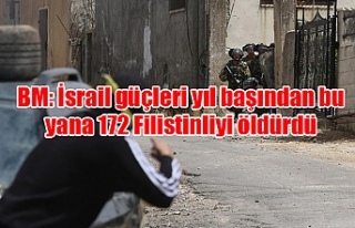 BM: İsrail güçleri yıl başından bu yana 172...