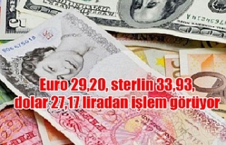 Euro 29,20, sterlin 33,93, dolar 27,17 liradan işlem...
