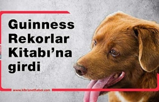 Dünyanın en yaşlı köpeği Bobi 31 yaşında öldü