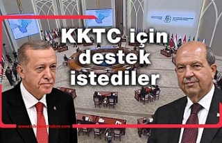 Cumhurbaşkanı Tatar üye devletlerden destek istedi