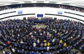 Avrupa Dış İlişkiler Konseyi: “Avrupa Parlamentosunda...