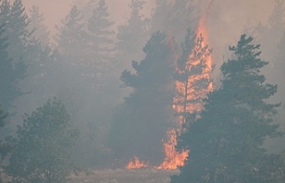 Orman Dairesi Müdürlüğü, yangın tehlikesine...