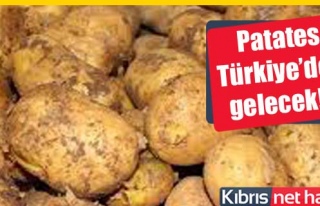 3.5 TL’ye ithal patates!