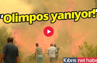Antalya'da tatil cenneti alev alev yanıyor!.. Olimpos...