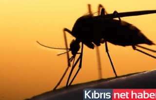 Bilim insanlarından Zika virüsü alarmı
