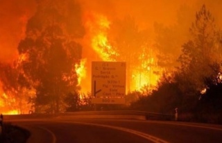 Bir yangın felaketi de o ülkede! 57 ölü