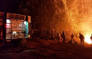 California'daki yangınlarda can kaybı 81'e yükseldi