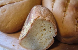 Ekmek küfünün inanılmaz özelliği!