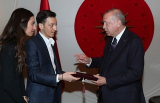 Erdoğan, Mesut Özil'i kabul etti