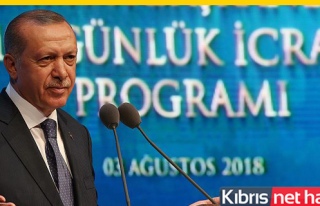 Erdoğan'dan dövizdeki yükselişle ilgili açıklama