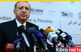 Erdoğan'dan 'Sevakin Adası' çağrısı
