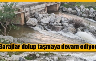 Gayretköy barajından taşan su Güzelyurt barajına...