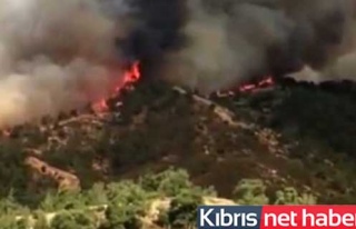 Güney Kıbrıs'ta Yangın Sürüyor