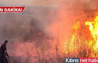 Güney Kıbrıs’taki yangın kontrol altına alınamıyor