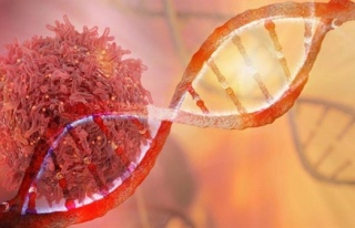 Kanserin DNA'daki Parmak İzini Arıyorlar