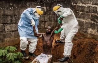 KDC'deki Ebola Ölümleri 500'e Yaklaştı