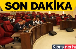 Meclis'te Çavuşoğlu'nun ziyareti ve Kıbrıs sorunu...