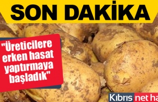 Patates Üreticileri Birliği: Patatesin fiyatı düşecek