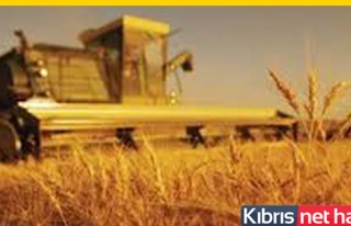 TÜK Pazartesi Tohumluk Arpayla Buğday Satışına...