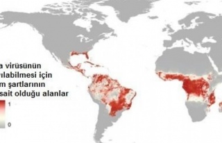 Zika 2,2 milyar kişiyi tehdit ediyor