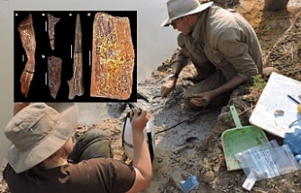 Zambiya'da 500 bin yıllık ahşap yapı bulundu