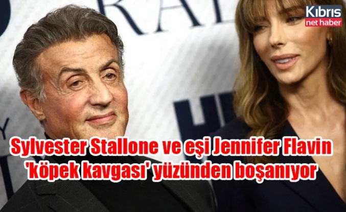 Sylvester Stallone ve eşi Jennifer Flavin 'köpek kavgası' yüzünden boşanıyor